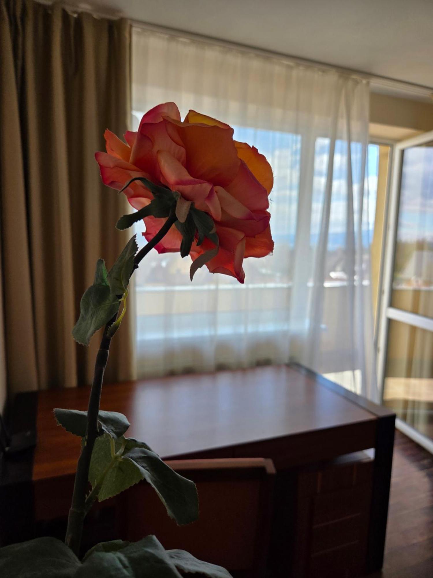 Veľký Slavkov Apartment High Tatras מראה חיצוני תמונה