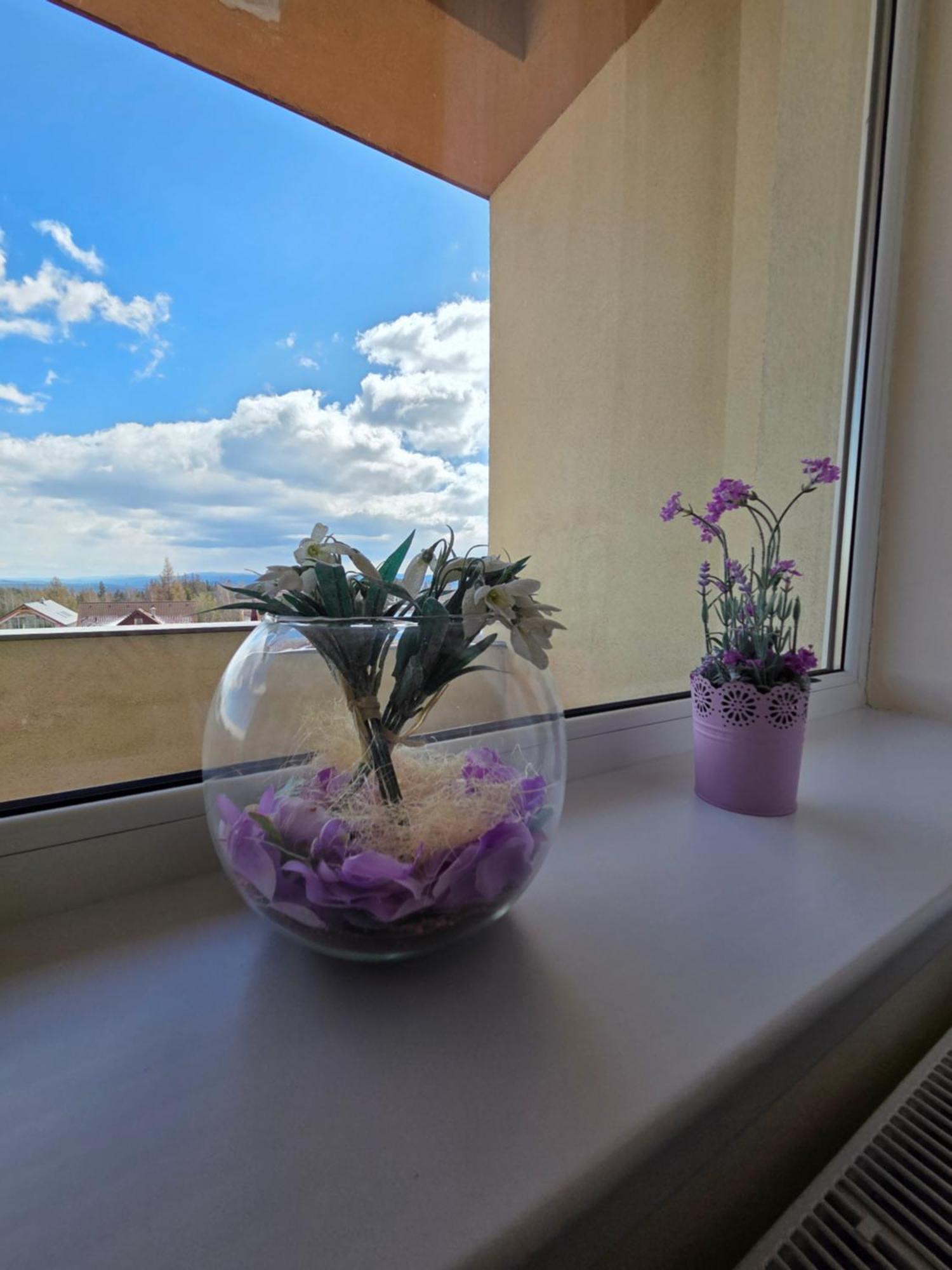 Veľký Slavkov Apartment High Tatras מראה חיצוני תמונה